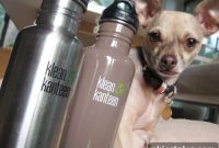 Do Thermal Receipts Contain BPA? Risks and Safety Tips