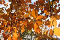 Autumn Has Finally Arrived