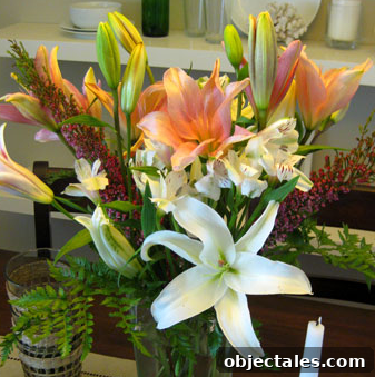 featured 24682