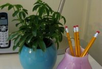 Affordable April Greenery: Spring Houseplant Picks