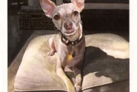 Download Free Wilder Watercolor Pack for Artists