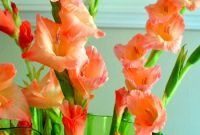 Pink Flower Bouquet Ideas for Weddings and Gifts