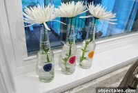 Upcycle Izze Soda Bottles into Stylish Vases