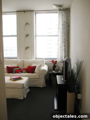 featured 2937
