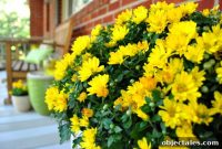 Quick Front Porch Updates to Boost Curb Appeal