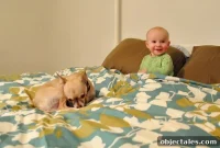 Unboxing Our West Elm Duvet: First Impressions