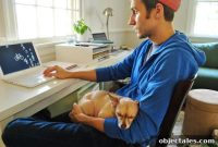 Helping Your Dog Settle into a New Home