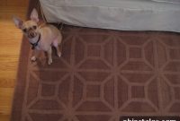 Brown Area Rugs at JCPenney: Style Ideas & Buying Tips
