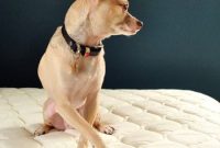 What We Learned Buying Our First Mattress