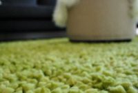 Plush Green Shag Rug Ideas for the Living Room