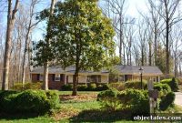 Limbing Trees to Restore Your Home’s View