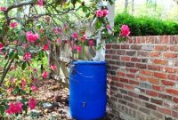 How to Install a Rain Barrel for Your Garden