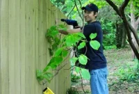 How to Build a Sturdy Fence: Step-by-Step for Any Yard