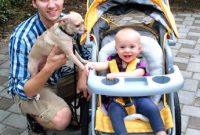 Custom House Portrait Reveal and Our New Stroller Review