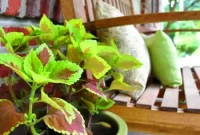 Porch Makeover Ideas to Boost Curb Appeal