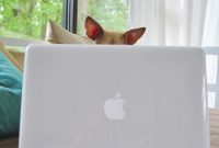 10 Lessons from Professional Bloggers
