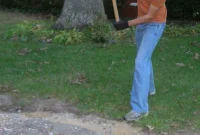 Removing Chair Molding and Demolishing a Slate Path