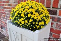 Fall Porch Refresh: Mums Around Our Yellow Door