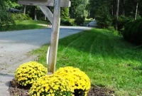 Mailbox Landscaping Ideas to Boost Curb Appeal