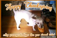 Thanksgiving Turkey Cooking Tips and Serving Ideas