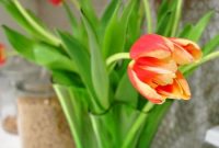 DIY Tulip Bouquet Tutorial: Arrange Fresh Tulips Like a Pro