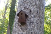 Paint and Hang a Birdhouse: Step-by-Step