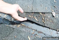 DIY Roof Leak Repair: Step-by-Step Fix for Leaky Roofs