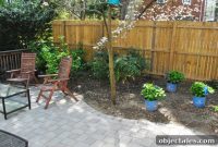 Plant Blue Hydrangeas: Soil & Care for Deep Color