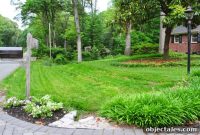 How to Seed Bare Spots and Grow New Grass
