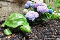 May Roundup: Ninja Turtles and Hairy Sherry