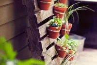 Kelly’s Outdoor Escape: House Crashing Update