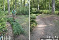 Step-by-Step Yard Makeover: Our Landscaping Update