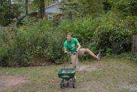 Prepare Your Lawn for Grass Seed Planting