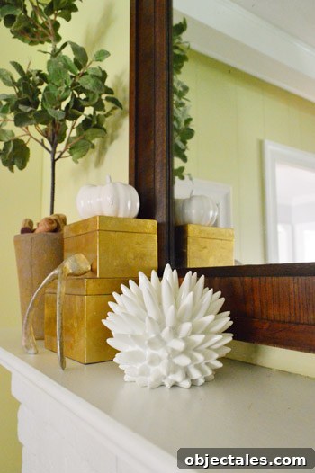 featured 52638