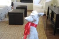 Puppy Love: How to Bond With and Train Your New Puppy