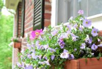 Hang Window Boxes: Step-by-Step Installation and Safety Tips