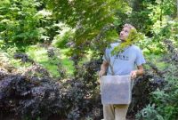 How to Dig Up and Transplant a Japanese Maple