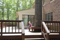 Big Tree Too Close to the House: Risks and What to Do