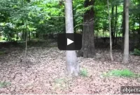 Outdoor Tour: Explore the Yard and Patio of Our New Home