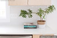 Modern Kitchen Design with Blonde Wood Cabinets