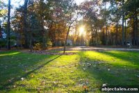 Front Yard Landscaping Ideas to Boost Curb Appeal