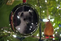DIY Christmas Ornaments from Picture Frames