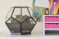 How to Build a Stunning Glass Terrarium at Home