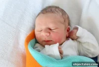 He’s Here: Meet Our New Arrival