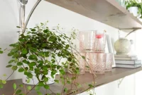 How to Build Long Reclaimed Wood Shelves