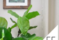 What Is Feng Shui and Are We Doing It Wrong?