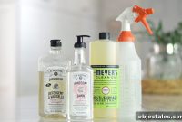 Eco-Friendly Household Cleaners and Personal Care Products
