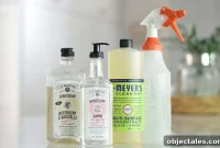 Green Household Cleaners and Personal Care Products Guide