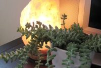 Do Salt Lamps Actually Work? What Science Says