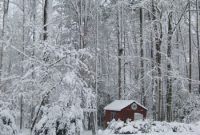 Snow Day Activities: Fun Ideas for Kids and Families